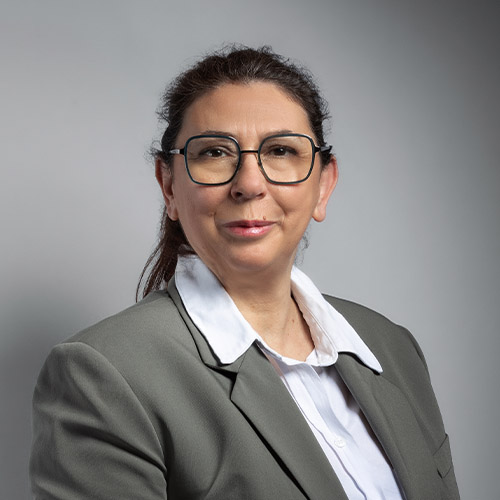 Karine Demarchi
