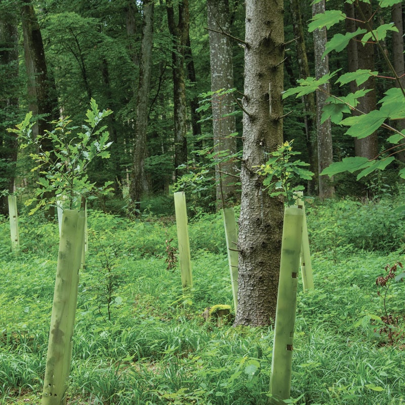 Levée de fonds